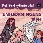 Det fortryllede slot 9: Enhjørningens tårer af Peter Gotthardt