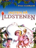 Jagten på ildstenen af Peter Gotthardt