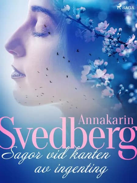 Sagor vid kanten av ingenting af Annakarin Svedberg