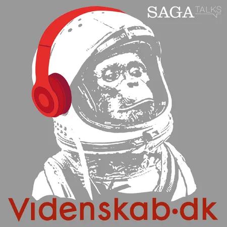 Den største misforståelse om vikingetiden af Videnskab.dk