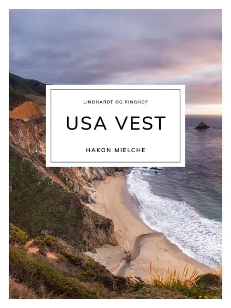 USA vest af Hakon Mielche