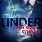 Den som syndar af Stellan Linder