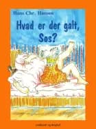 Hvad er der galt, Søs? af Hans Christian Hansen