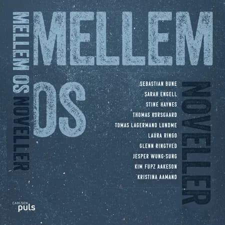 Mellem os af Stine Haynes