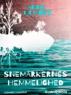 Snemarkernes hemmelighed af Anne Lilmoes