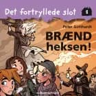 Det fortryllede slot 8: Brænd heksen! af Peter Gotthardt