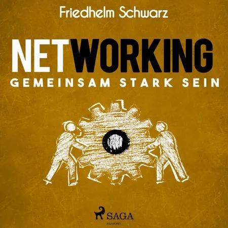 Networking - Gemeinsam stark sein af Friedhelm Schwarz