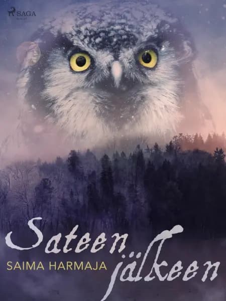 Sateen jälkeen af Saima Harmaja