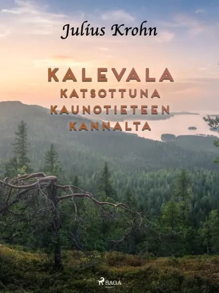 Kalevala katsottuna kaunotieteen kannalta af Julius Krohn