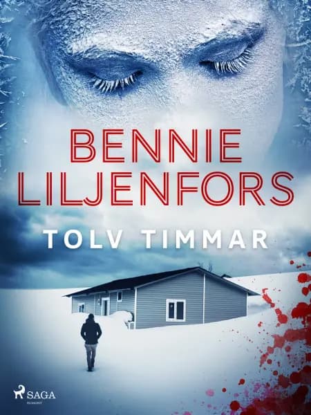 Tolv timmar af Bennie Liljenfors