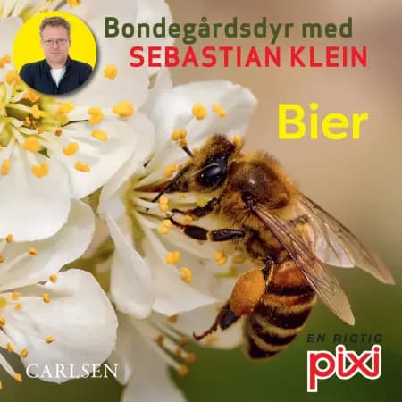 Bondegårdens dyr med Sebastian Klein: Bier af Sebastian Klein