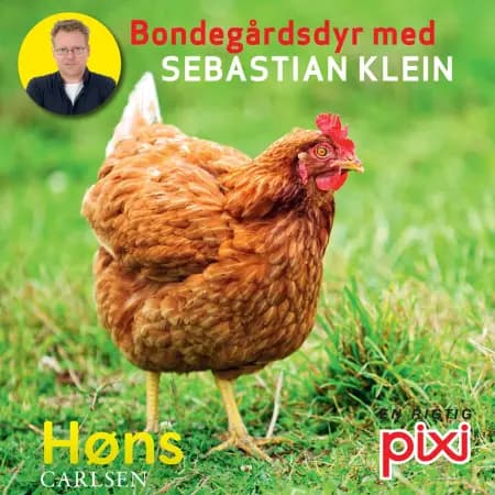 Bondegårdens dyr med Sebastian Klein: Høns af Sebastian Klein