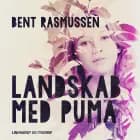 Landskab med puma af Bent Rasmussen