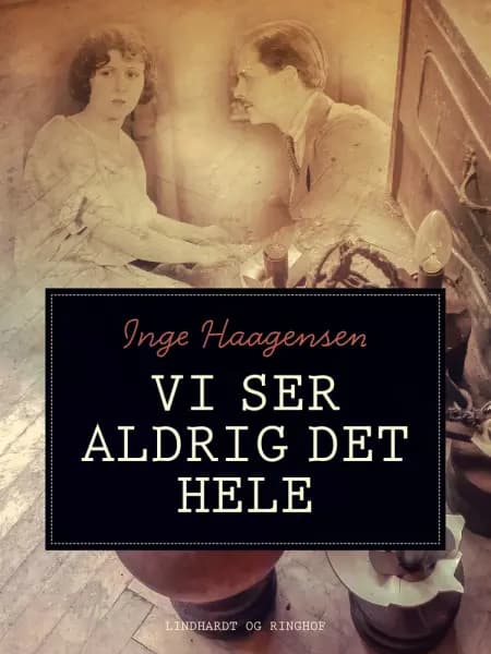 Vi ser aldrig det hele af Inge Haagensen