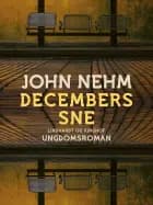 Decembers sne af John Nehm