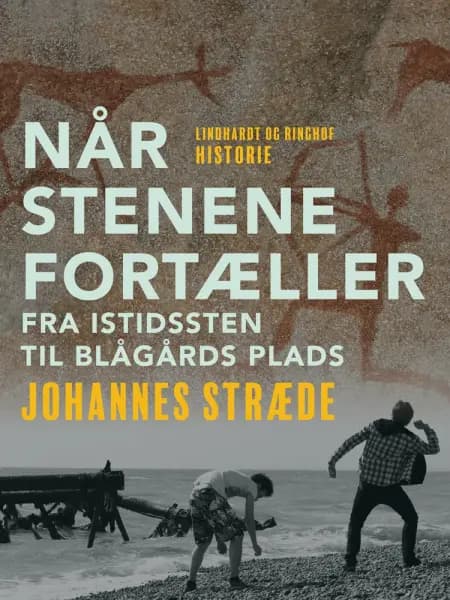 Når stenene fortæller. Fra istidssten til Blågårds Plads af Johannes Stræde