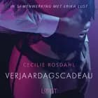 Verjaardagscadeau - erotisch verhaal af Cecilie Rosdahl