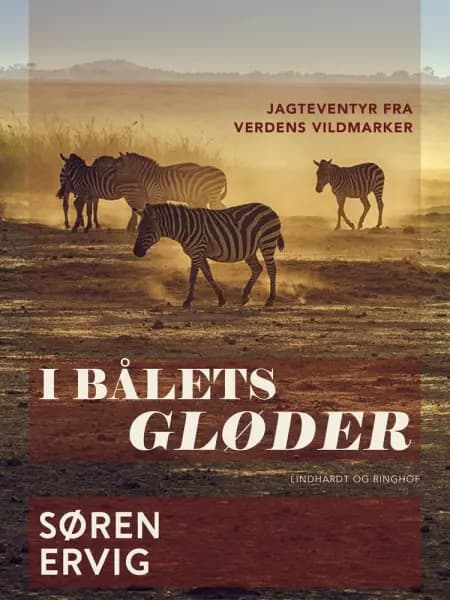 I bålets gløder af Søren Ervig