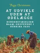 At udvikle uden at ødelægge. Bondebevægelsen Naam-grupperne i Burkina Faso af Thyge Christensen