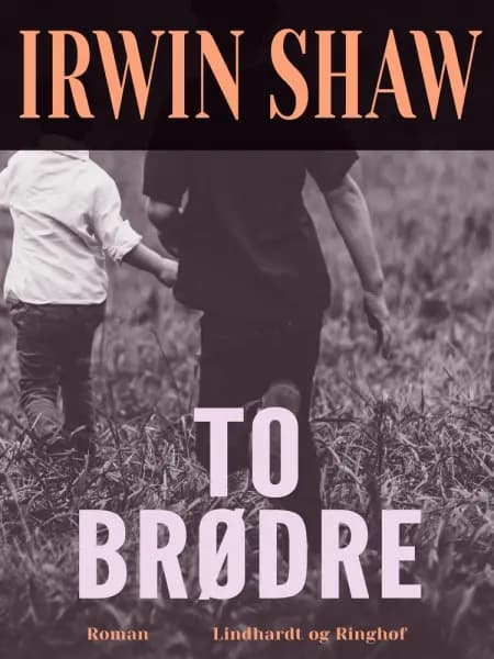 To brødre af Irwin Shaw