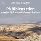 På Biblens stier af Arne Falk-Rønne