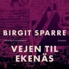 Vejen til Ekenäs af Birgit Sparre