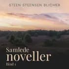Samlede noveller. Bind 1 af Steen Steensen Blicher