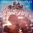 Godsägarens hemlighet 1 - en erotisk julberättelse af Christina Tempest