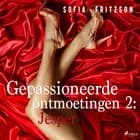 Gepassioneerde ontmoetingen 2: Jesper - erotisch verhaal af Sofia Fritzson