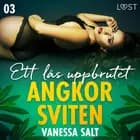 Angkorsviten 3: Ett lås uppbrutet af Vanessa Salt