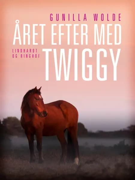Året efter med Twiggy af Gunilla Wolde
