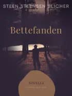 Bettefanden af Steen Steensen Blicher