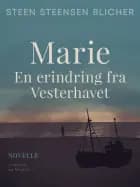 Marie. En erindring fra Vesterhavet af Steen Steensen Blicher