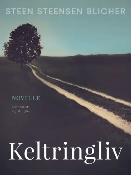 Keltringliv af Steen Steensen Blicher