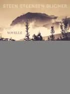 Maria de Carmo af Steen Steensen Blicher