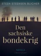 Den sachsiske bondekrig af Steen Steensen Blicher