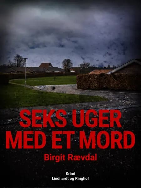 Seks uger med et mord af Birgit Veronika Rævdal