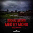 Seks uger med et mord af Birgit Veronika Rævdal