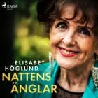 Nattens änglar af Elisabet Höglund