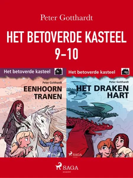 Het betoverde kasteel 9-10 af Peter Gotthardt