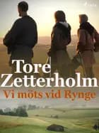 Vi möts vid Rynge af Tore Zetterholm