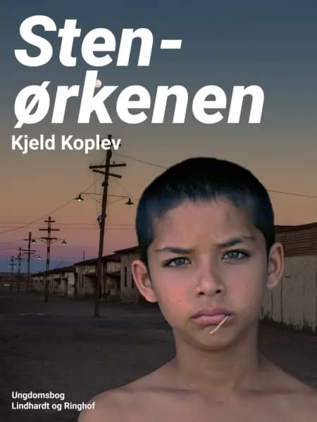 Stenørkenen af Kjeld Koplev