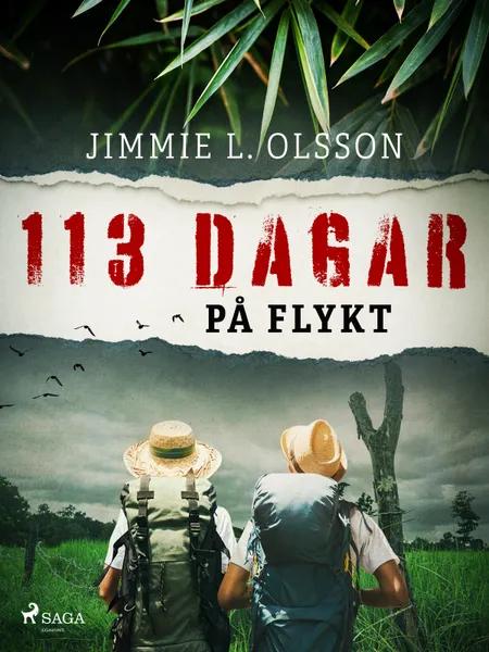 113 dagar på flykt af Jimmie L. Olsson