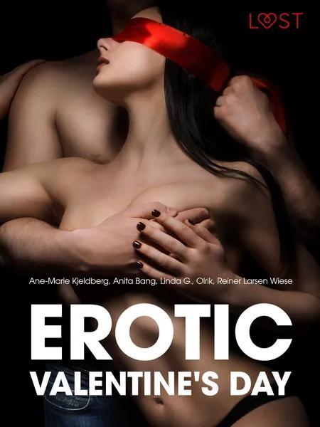 Erotic Valentine's Day - 6 erotiske historier af Anita Bang