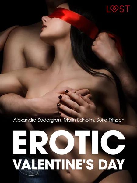 Erotic Valentine s Day - 5 erotische verhalen af Alexandra Södergran