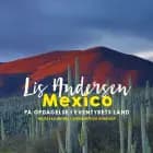 Mexico af Lis Andersen