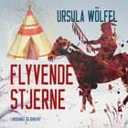 Flyvende Stjerne af Ursula Wölfel