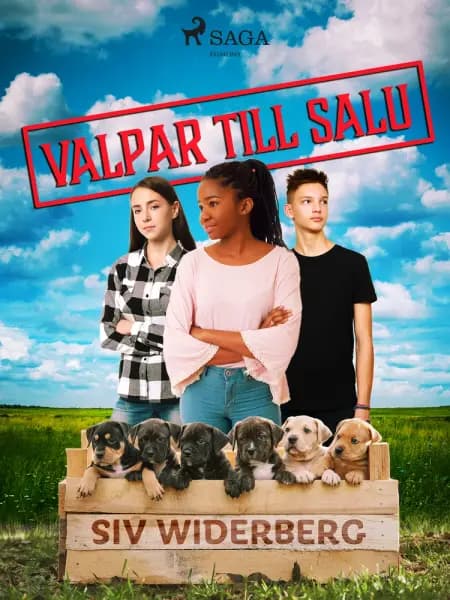 Valpar till salu af Siv Widerberg
