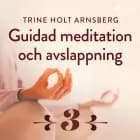 Guidad meditation och avslappning - Del 3 af Trine Holt Arnsberg