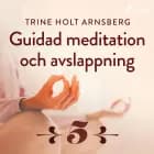 Guidad meditation och avslappning - Del 5 af Trine Holt Arnsberg
